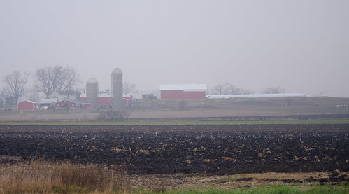 field fog nikon midwest farm livestock implement d7000