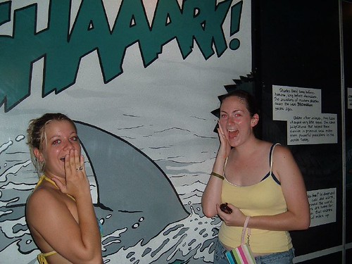 sharkattack | by lyonssusie