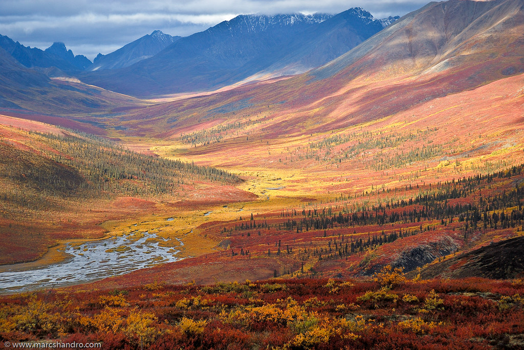 North Klondike Valley - Yukon Autumn by Marc Shandro