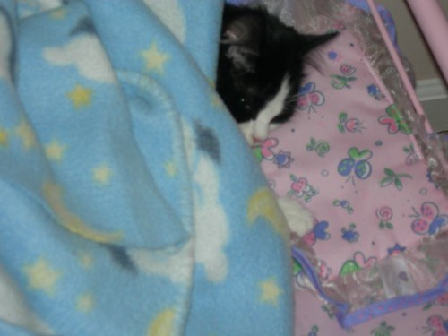 Sleeping in Bailey's doll bunkbed!