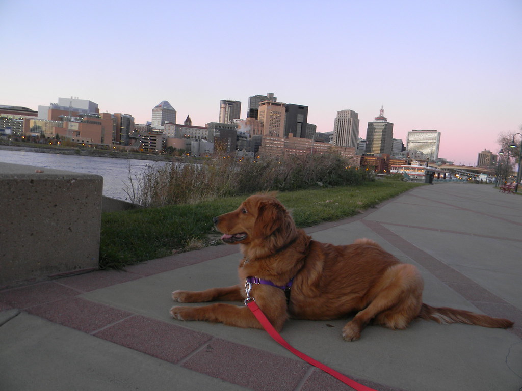 Penny looking over the Mississippi