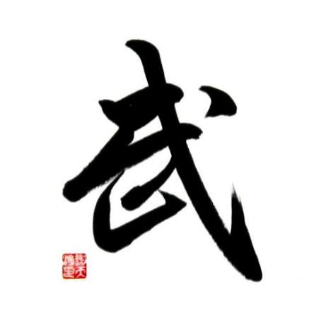 Cong Fu Sign Chinese Kung Fu Symbols