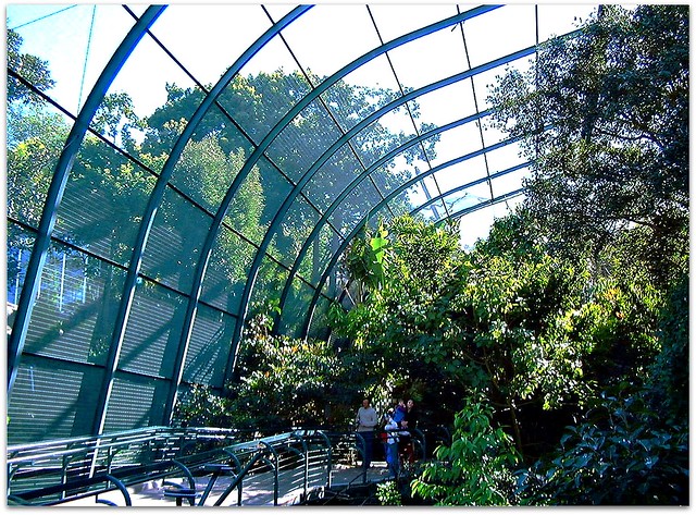 Owens Rain Forest Aviary (Huge Bird Cage) the San Diego Zoo in California