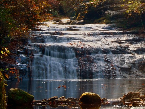 autumn fall nature leaves rural forest waterfall alabama scenic bankhead