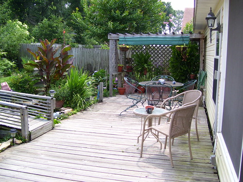 Backyard | by bpsitrep