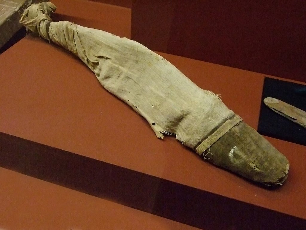 Mummified Nile Catfish funerary food offering MIddle Kingdom Egypt - a ...