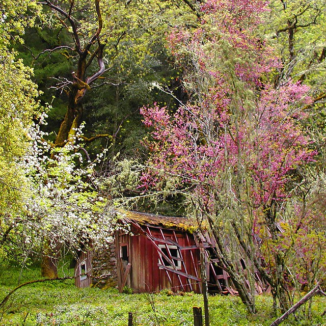 Rita Crane Photography: Old Homestead in Spring, Anderson Valley (Mendocino County)