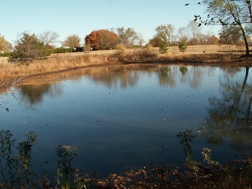 fall water pond