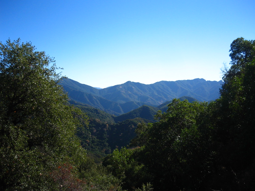 Glimpse of the View