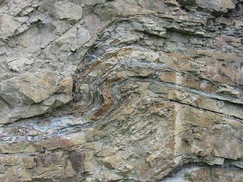 rocks fold geology sedimentary dunlap clastic roadcut