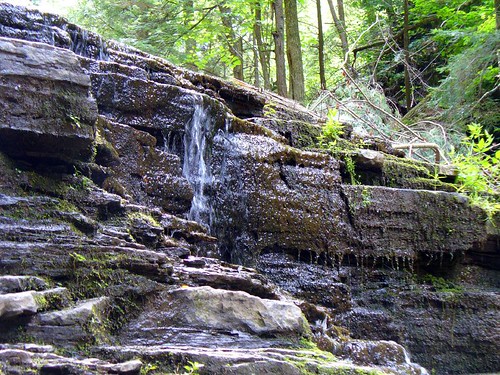 park water waterfall moss rocks pennsylvania pa montrose fallbrook saltsprings saltspringsstatepark franklinforks