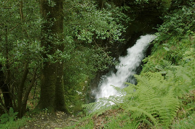 d0704070 | Pollanass Waterfall im Vale of Glendalough. Wicklow Mountains / Irland, 14.07.2007