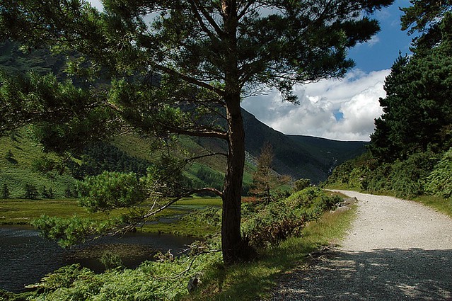 d0704015 | Weg am Upper Lake, Glendalough. Wicklow Mountains / Irland, 14.07.2007