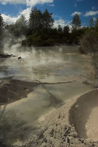 NZ - Rotorua - Wai-O-Tapu - Mud pools | by Darrell Godliman