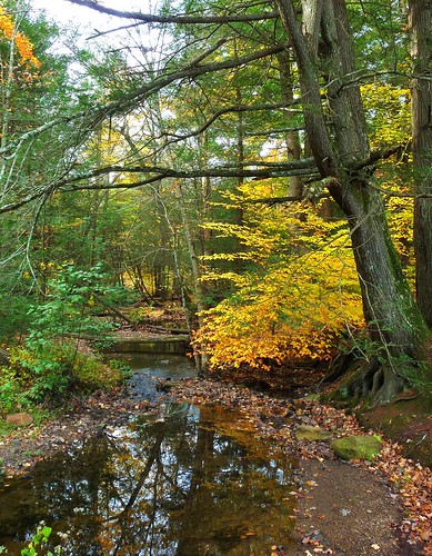 autumn johnjmurphyiii park connecticut salmonriverstatepark newengland october usa 06420 foliage