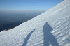 Long Shadows