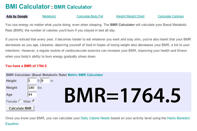 Basal Metabolic Rate 1764 Calorie Needs To Lose Weight T Flickr