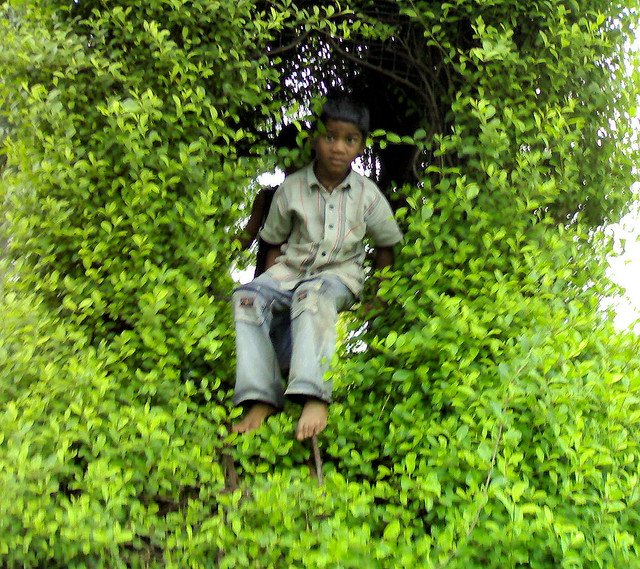 Boy in Ornamental Hedge, Nokia N72