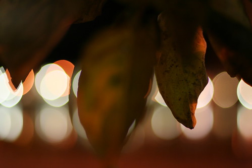 Autumn colors | Óli Jón | Flickr