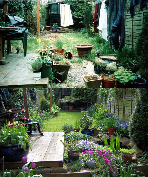 My garden before and after