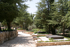 IL04 2661 Mount Herzl Cemetery