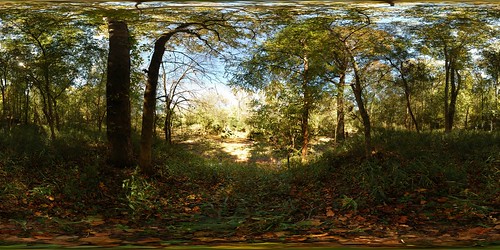panorama heritage creek forest geotagged pano stevens 360 sphere preserve equirectangular geolon82154479 geolat33690491