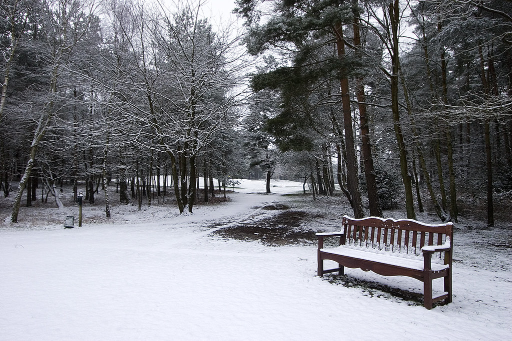 Winter Bench by DomWrap