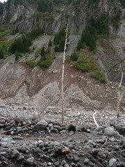 Nisqually River Flood Damage After Flood of Nisqually River in 2006, Mount Rainier National Park, Washington