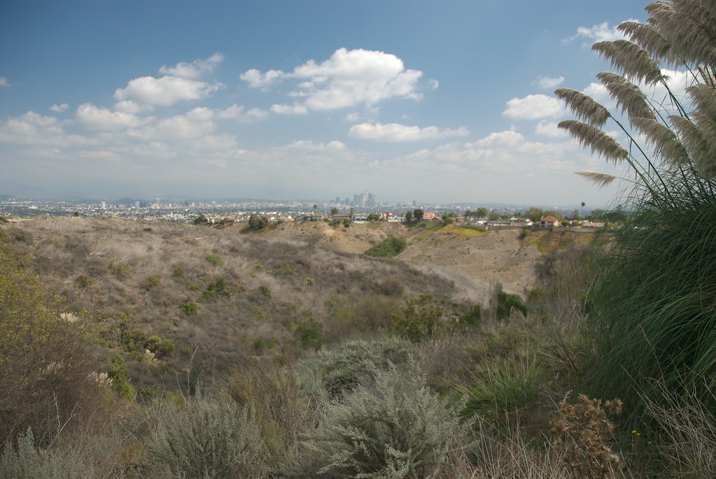 "Baldwin Hills View of Downtown Los Angeles" by The City Project is licensed under CC BY-NC-SA 2.0.