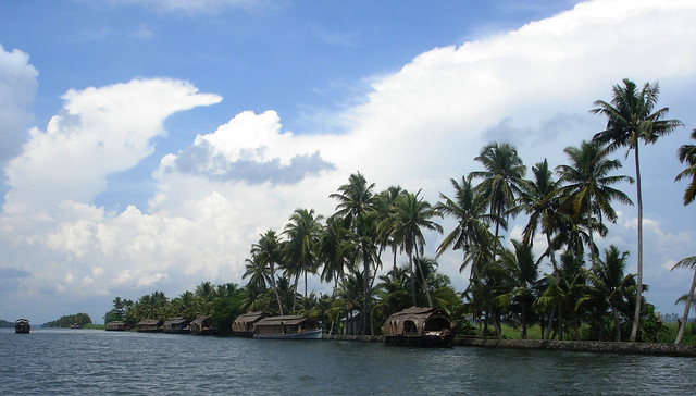 A line up of houseboats in the backwaters of Kerala