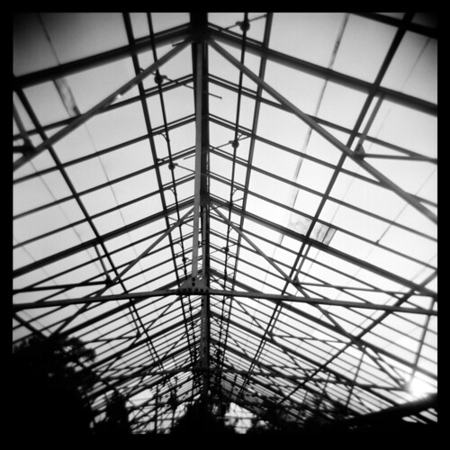 Glass Ceiling by Ralph Krawczyk Jr, light sunset shadow blur abandoned 6x6 silhouette mediumformat dark twilight farmersmarket dusk debr