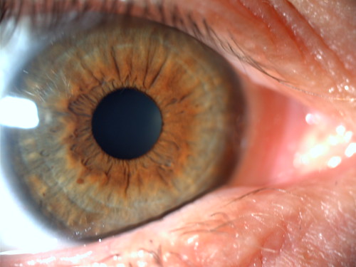 ojos 006 | by claratuc28