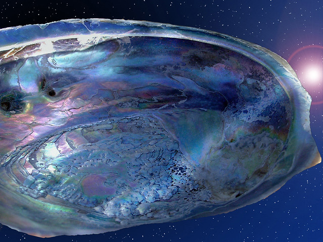Abalone in Space