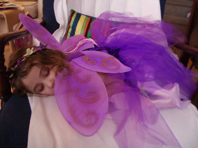 The Sleeping Plum Fairy