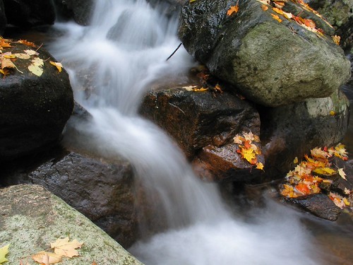 Ramapo State Park | by Pabo76