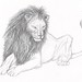 Sketches The Lion