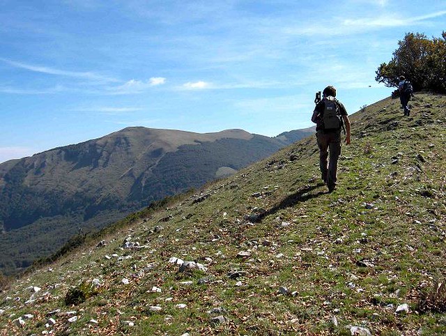 Monte Volturino | Parco nazionale Val d'Agri Lagonegrese. | Vito L ...