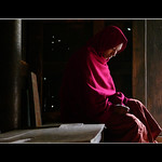 Myanmar Monk
