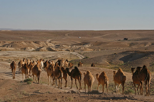 _MG_6177 | by raed.krishan