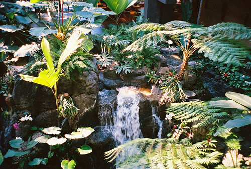 Poly | by toobachick