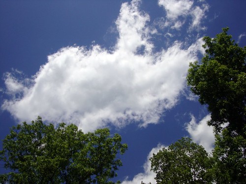 blue sky cloud white tree green fluffy sunny clear clevelandtn