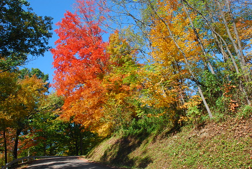 autumn ohio fall fallcolors newport falllandscape oct2010 zionridgeroadmarie3tta