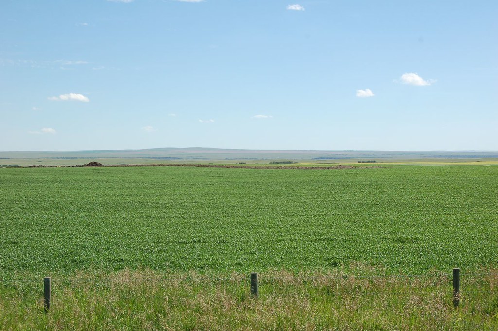 Saskatchewan prairie