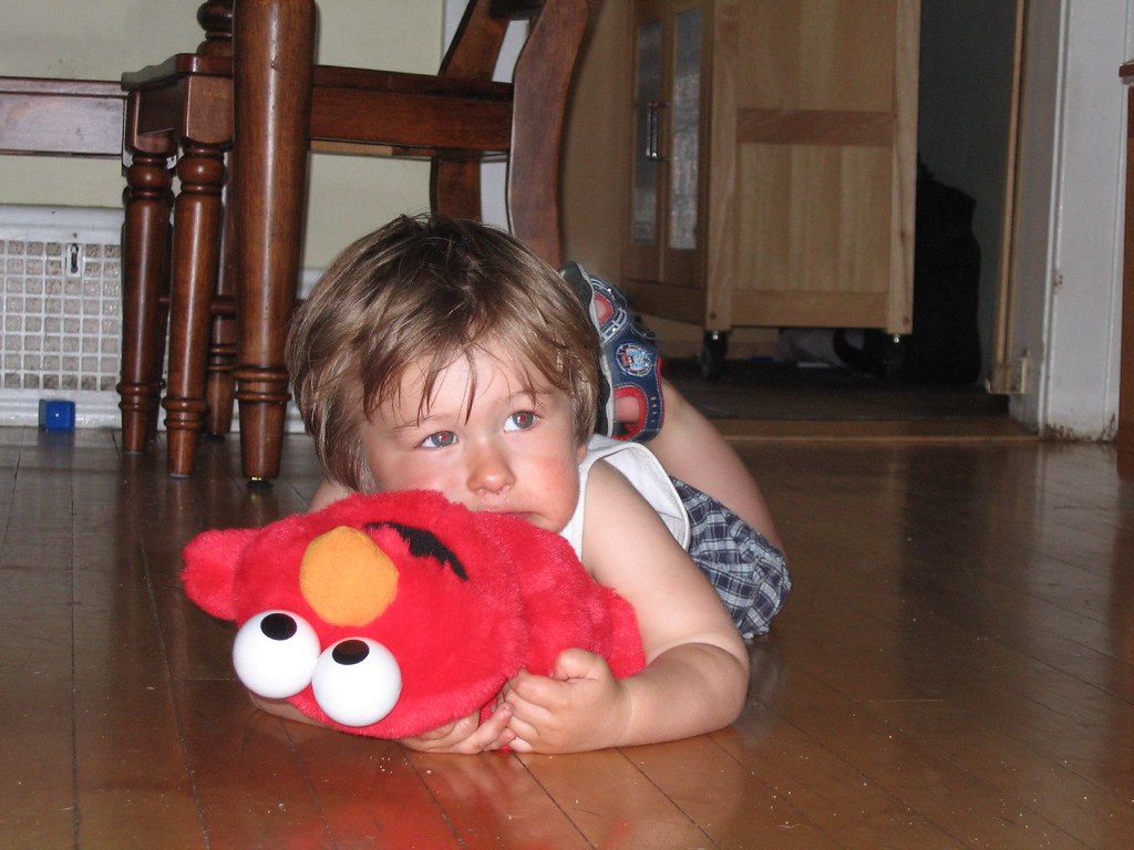 Elmo Maybe IMG_2530 | Loving Elmo a little too much maybe. | desjjass | Flickr