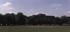 Cricket on College Green