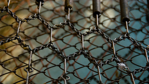 Mesh by Christophe Vanfleteren