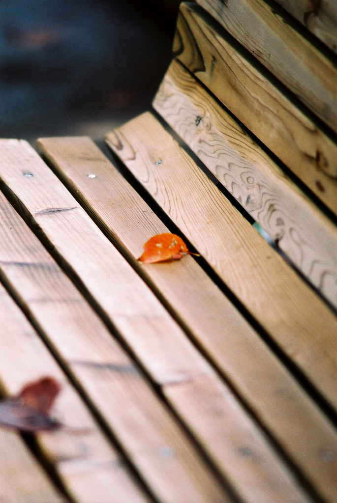 leaf