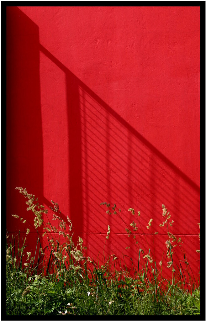 Обои настенные красный лепесток. Красная стена фон. Злая красная стена. Открытый угол стены красного цвета.