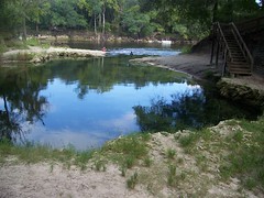 Lafayette Blue Springs State Park (Lafayette County,FL)