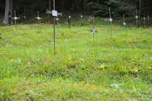 100903 27 Log Pod Mangartom, Austrian-Hungarian cemetery